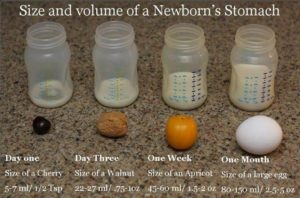 newborn-stomach-size1